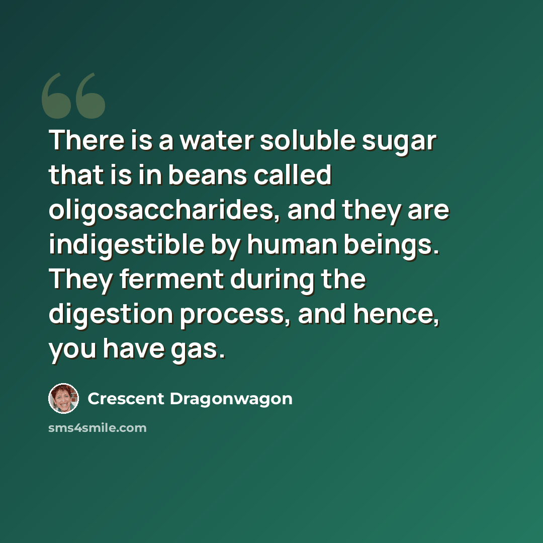 “There is a water soluble sugar that is in beans called oligosaccharides, and they are indigestible by human beings. They ferment during the digestion process, and hence, you have gas.” quote by Crescent Dragonwagon