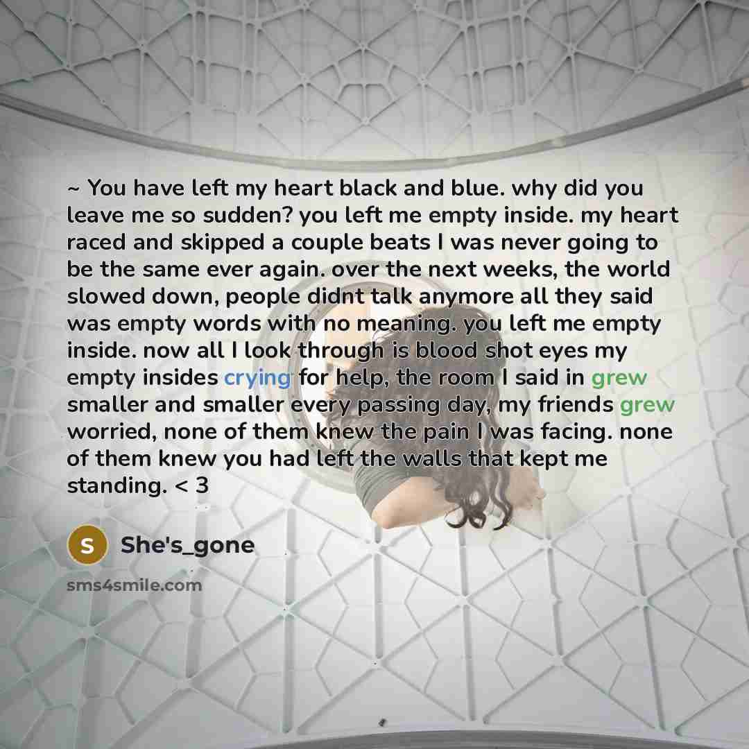 “~ You have left my heart black and blue. why did you leave me so sudden? you left me empty inside. my heart raced and skipped a couple beats I was never going to be the same ever again. over the next weeks, the world slowed down, people didnt talk anymore all they said was empty words with no…” quote by She's_gone