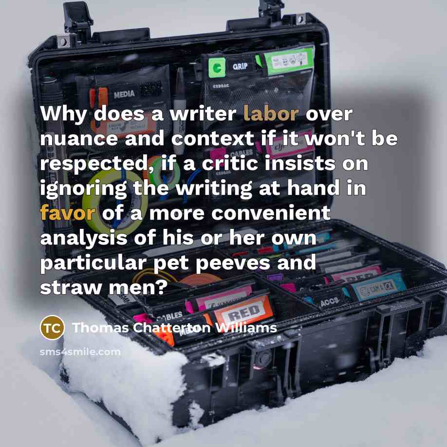 “Why does a writer labor over nuance and context if it won't be respected, if a critic insists on ignoring the writing at hand in favor of a more convenient analysis of his or her own particular pet peeves and straw men?” quote by Thomas Chatterton Williams