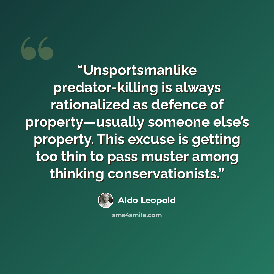 “Unsportsmanlike predator-killing is always rationalized as defence of property—usually someone else’s property. This excuse is getting too thin to pass muster among thinking conservationists.” quote by Aldo Leopold