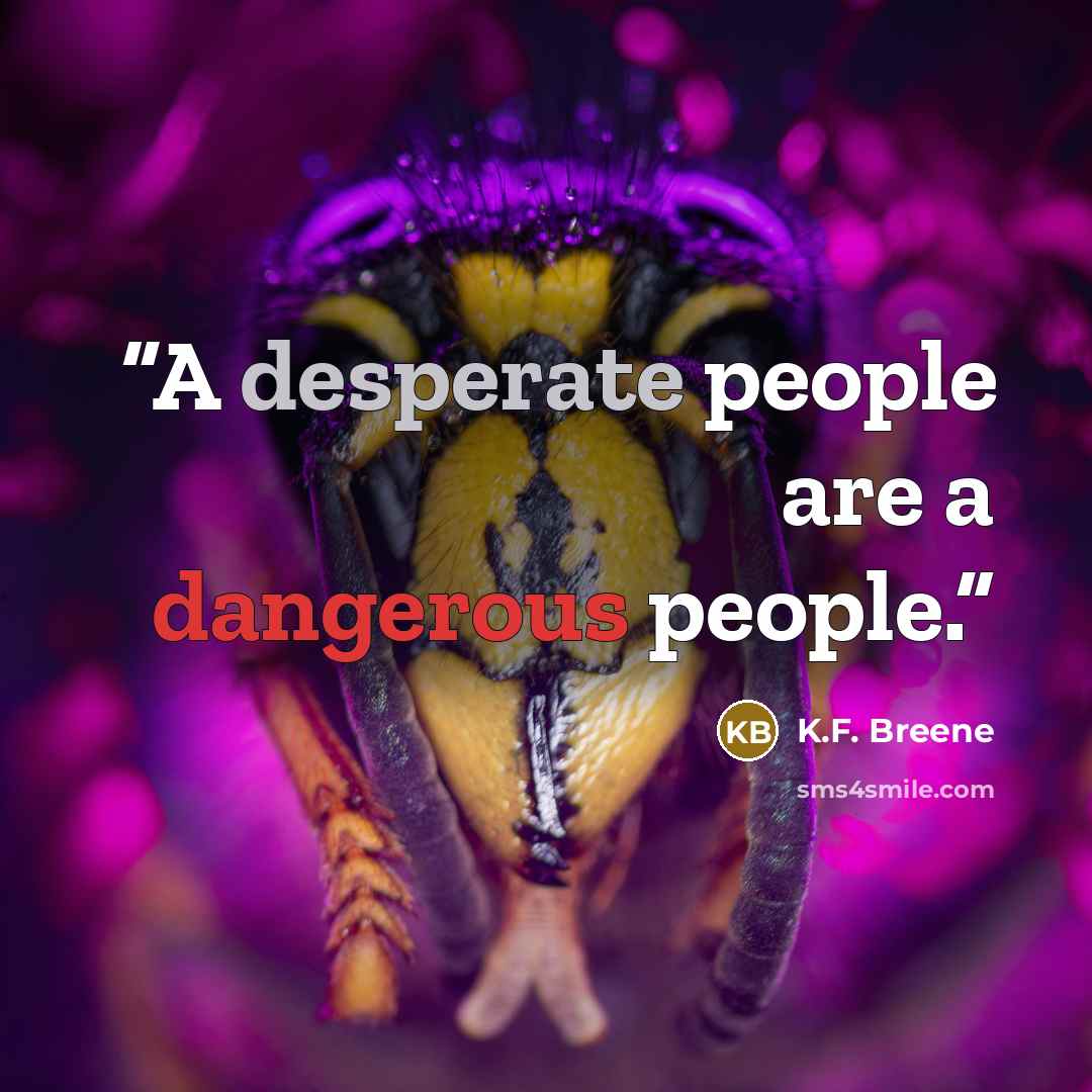 “A desperate people are a dangerous people.” quote by K.F. Breene