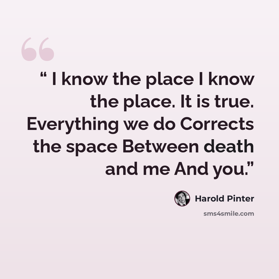 “I know the place I know the place. It is true. Everything we do Corrects the space Between death and me And you.” quote by Harold Pinter
