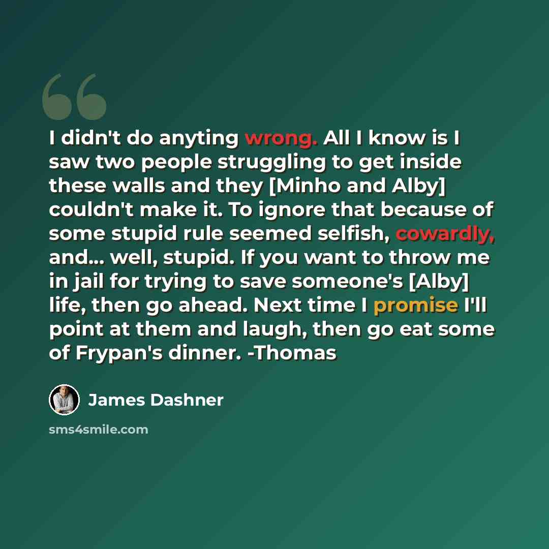 “I didn't do anyting wrong. All I know is I saw two people struggling to get inside these walls and they [Minho and Alby] couldn't make it. To ignore that because of some stupid rule seemed selfish, cowardly, and... well, stupid. If you want to throw me in jail for trying to save someone's [Alby]…” quote by James Dashner