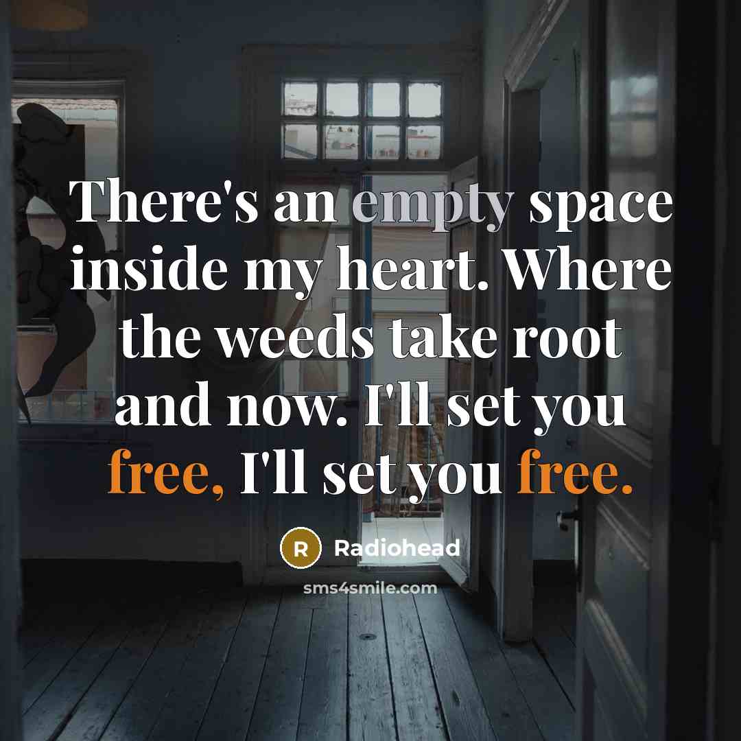 “There's an empty space inside my heart. Where the weeds take root and now. I'll set you free, I'll set you free.” quote by Radiohead