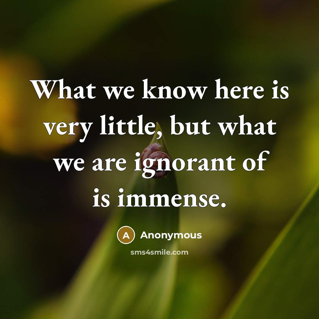 “What we know here is very little, but what we are ignorant of is immense.” quote by Anonymous