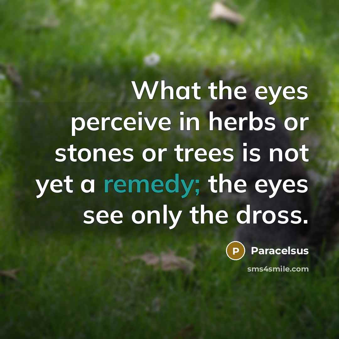 “What the eyes perceive in herbs or stones or trees is not yet a remedy; the eyes see only the dross.” quote by Paracelsus