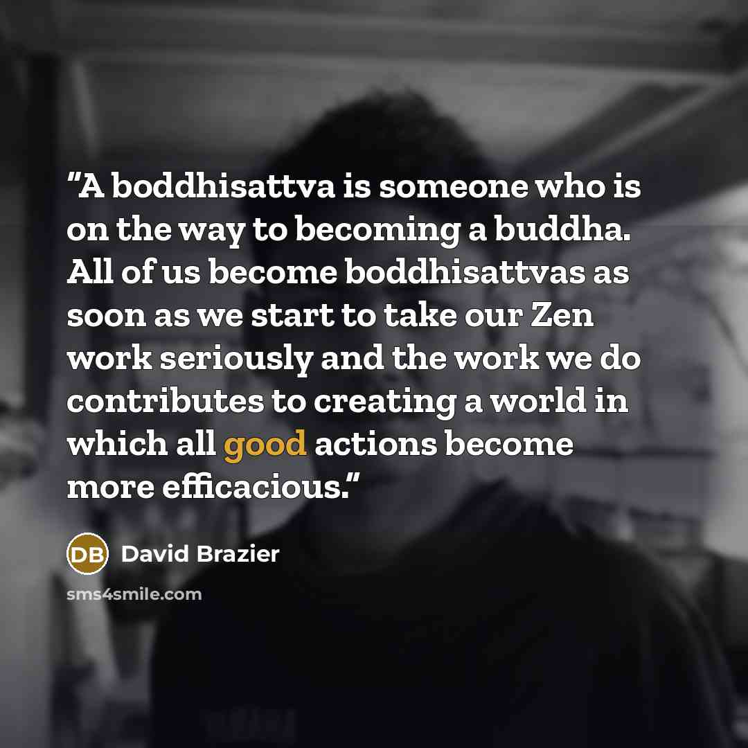 “A boddhisattva is someone who is on the way to becoming a buddha. All of us become boddhisattvas as soon as we start to take our Zen work seriously and the work we do contributes to creating a world in which all good actions become more efficacious.” quote by David Brazier