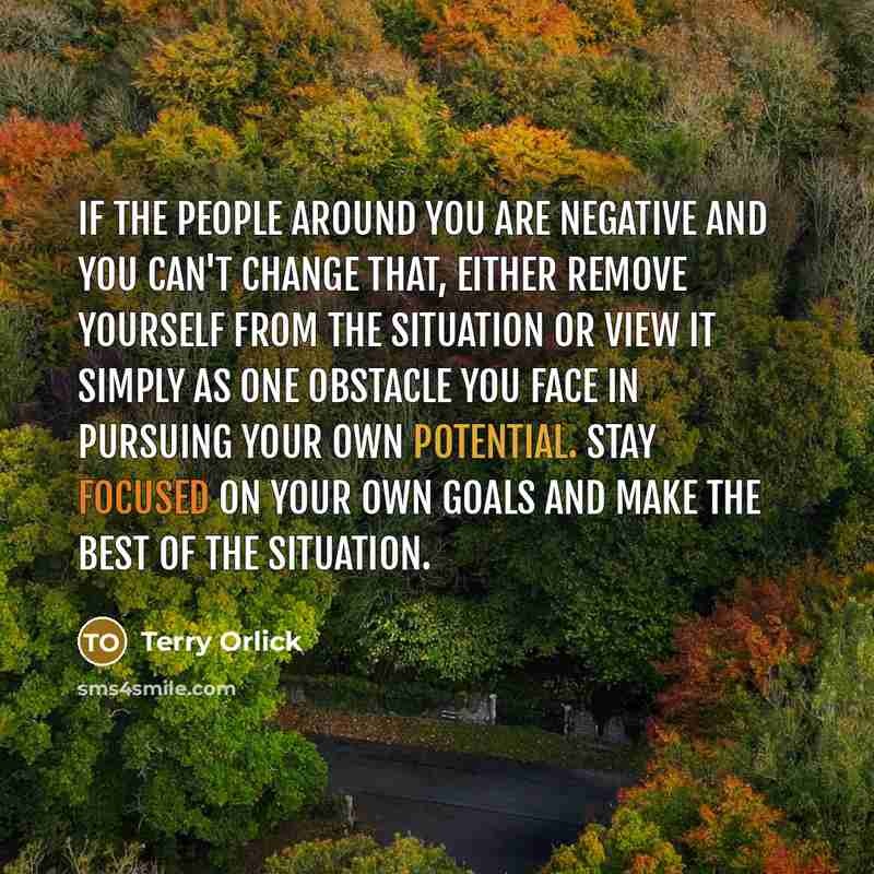 “If the people around you are negative and you can't change that, either remove yourself from the situation or view it simply as one obstacle you face in pursuing your own potential. Stay focused on your own goals and make the best of the situation.” quote by Terry Orlick
