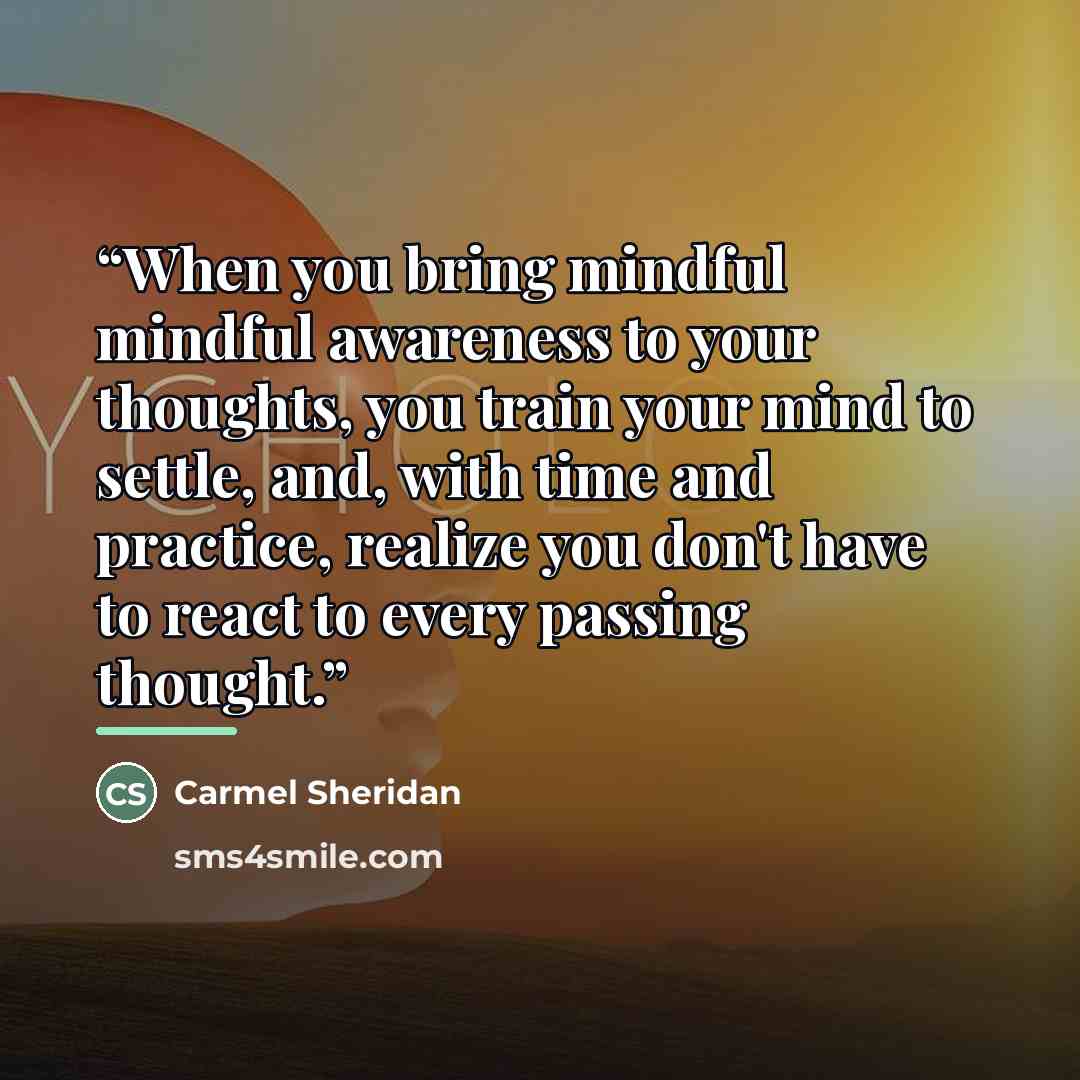 “When you bring mindful mindful awareness to your thoughts, you train your mind to settle, and, with time and practice, realize you don't have to react to every passing thought.” quote by Carmel Sheridan