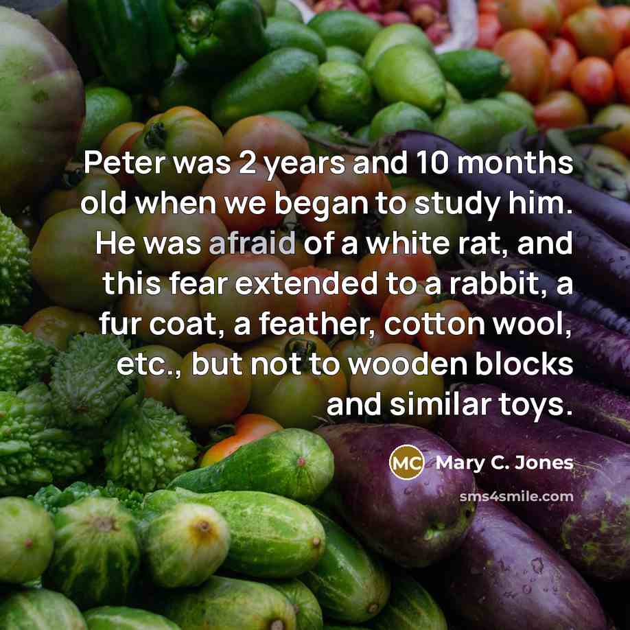 “Peter was 2 years and 10 months old when we began to study him. He was afraid of a white rat, and this fear extended to a rabbit, a fur coat, a feather, cotton wool, etc., but not to wooden blocks and similar toys.” quote by Mary C. Jones