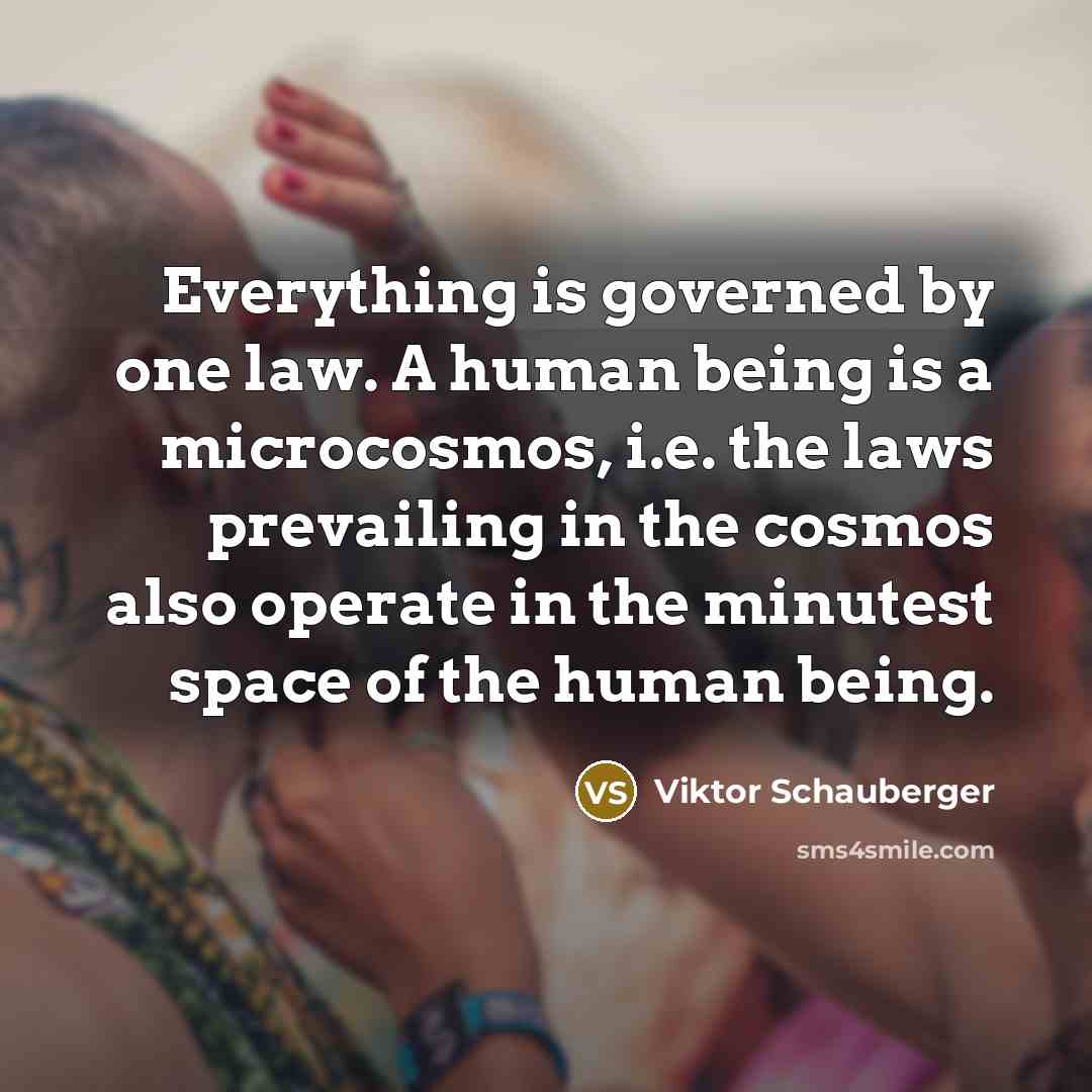 “Everything is governed by one law. A human being is a microcosmos, i.e. the laws prevailing in the cosmos also operate in the minutest space of the human being.” quote by Viktor Schauberger
