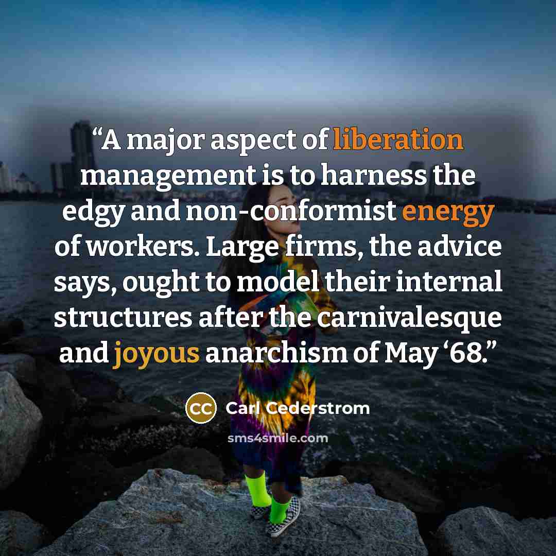 “A major aspect of liberation management is to harness the edgy and non-conformist energy of workers. Large firms, the advice says, ought to model their internal structures after the carnivalesque and joyous anarchism of May ‘68.” quote by Carl Cederstrom