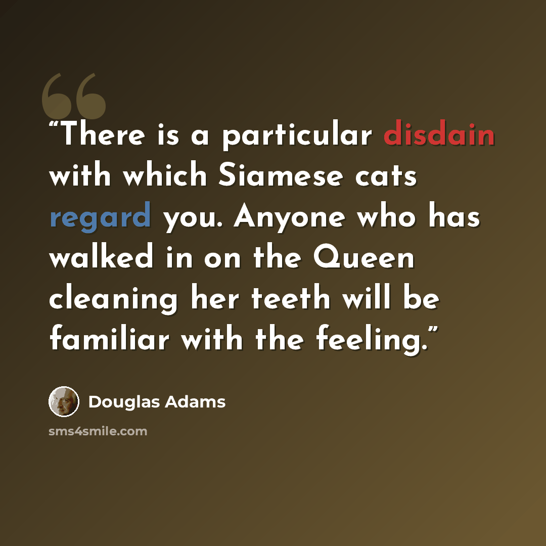 “There is a particular disdain with which Siamese cats regard you. Anyone who has walked in on the Queen cleaning her teeth will be familiar with the feeling.” quote by Douglas Adams