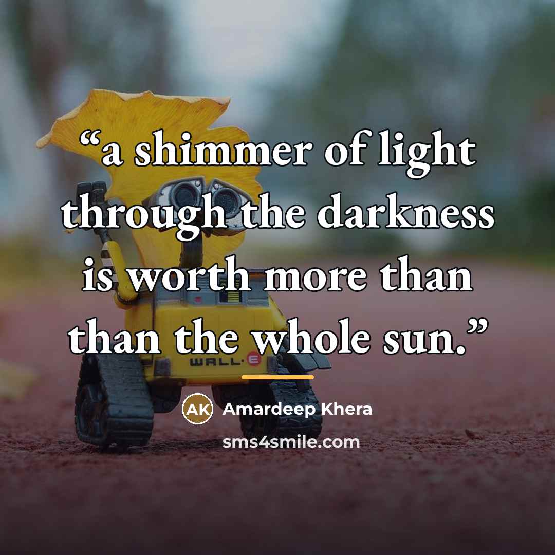 “a shimmer of light through the darkness is worth more than than the whole sun.” quote by Amardeep Khera