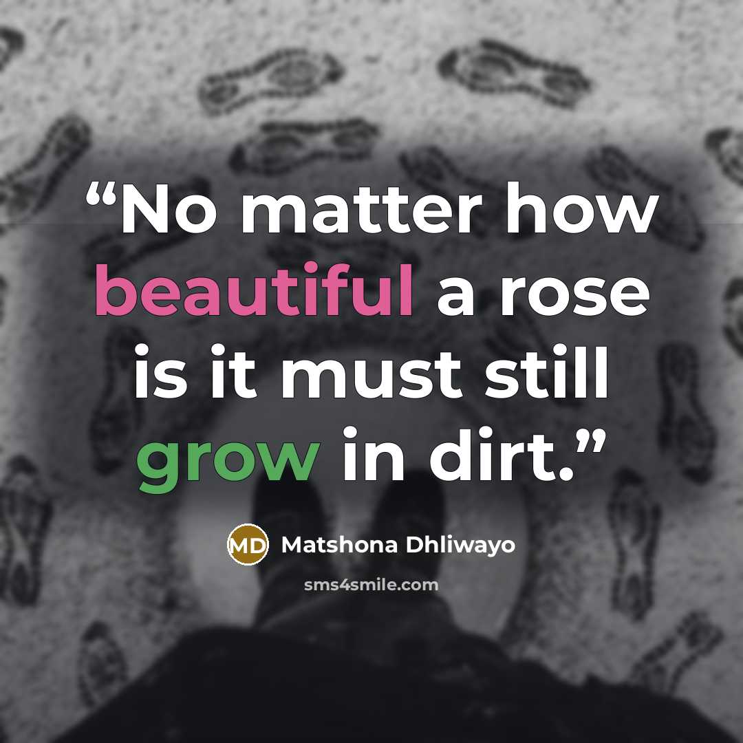 “No matter how beautiful a rose is it must still grow in dirt.” quote by Matshona Dhliwayo