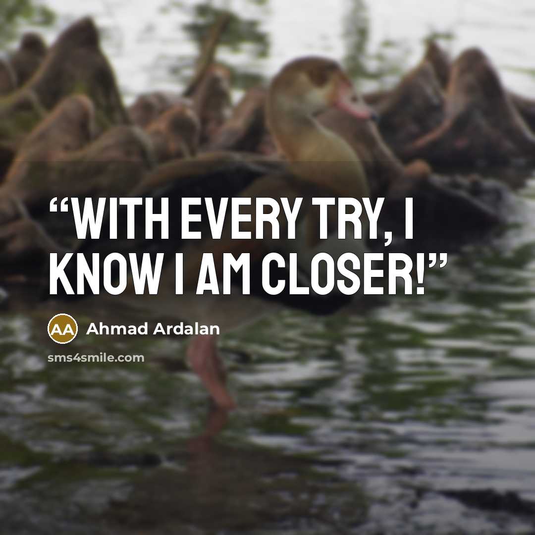 “With every try, I Know I am closer!” quote by Ahmad Ardalan