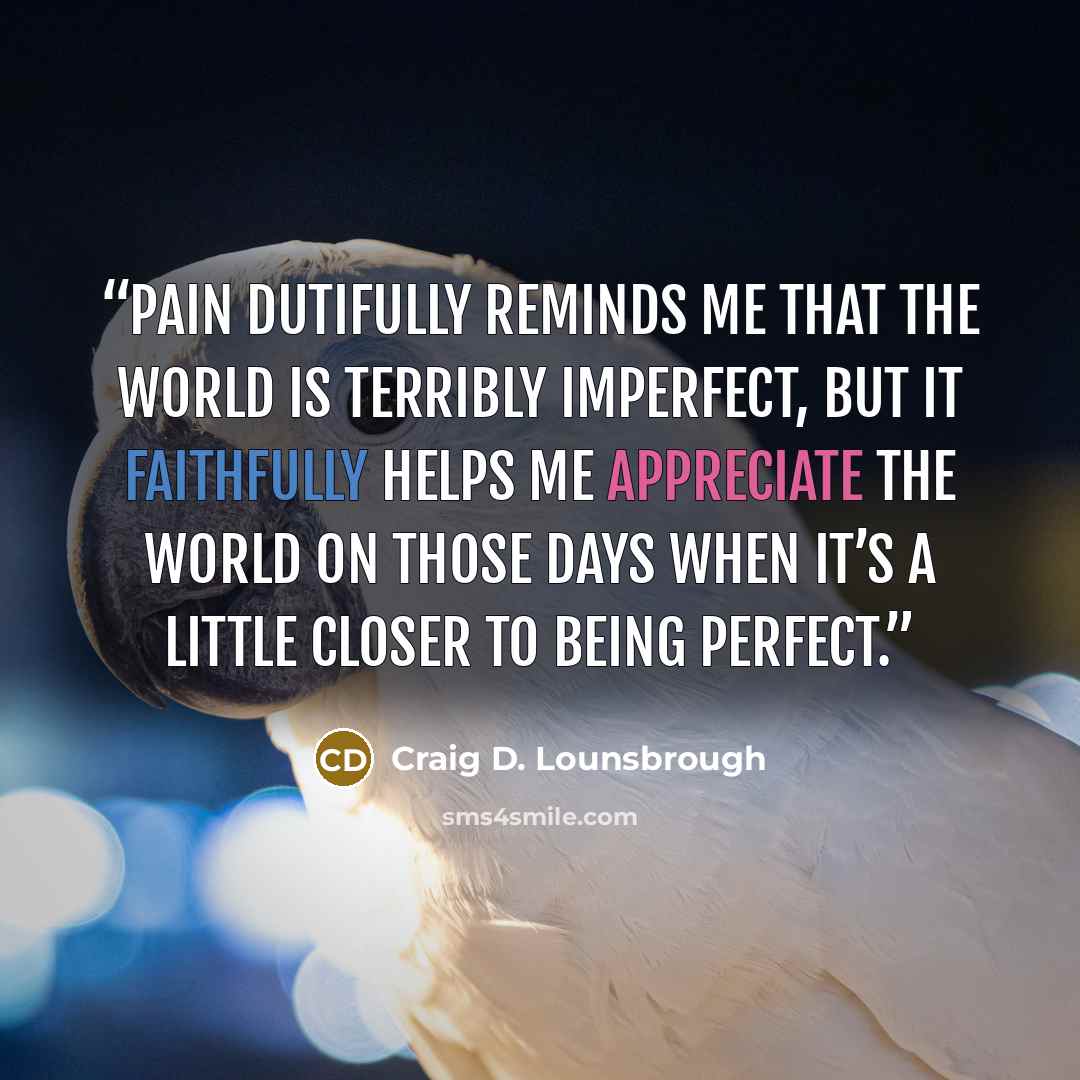 “Pain dutifully reminds me that the world is terribly imperfect, but it faithfully helps me appreciate the world on those days when it’s a little closer to being perfect.” quote by Craig D. Lounsbrough