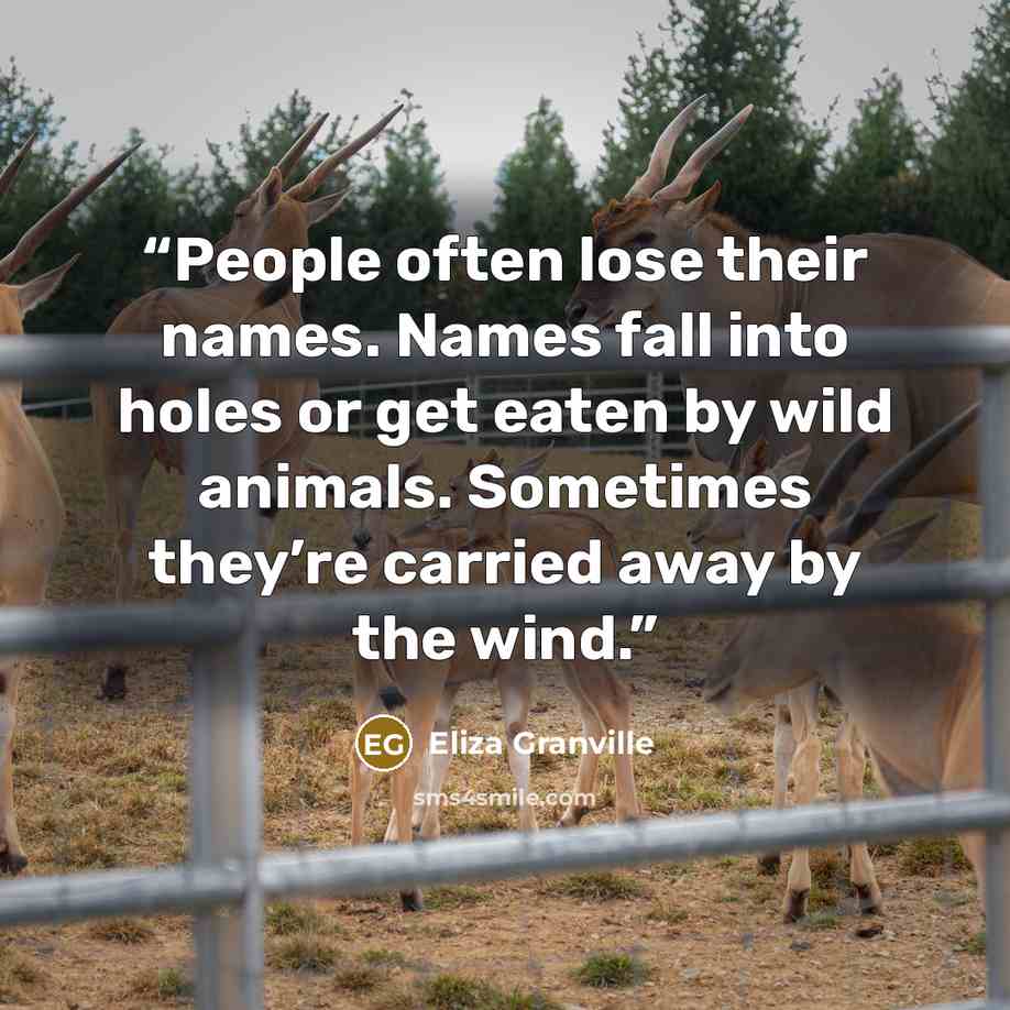 “People often lose their names. Names fall into holes or get eaten by wild animals. Sometimes they’re carried away by the wind.” quote by Eliza Granville