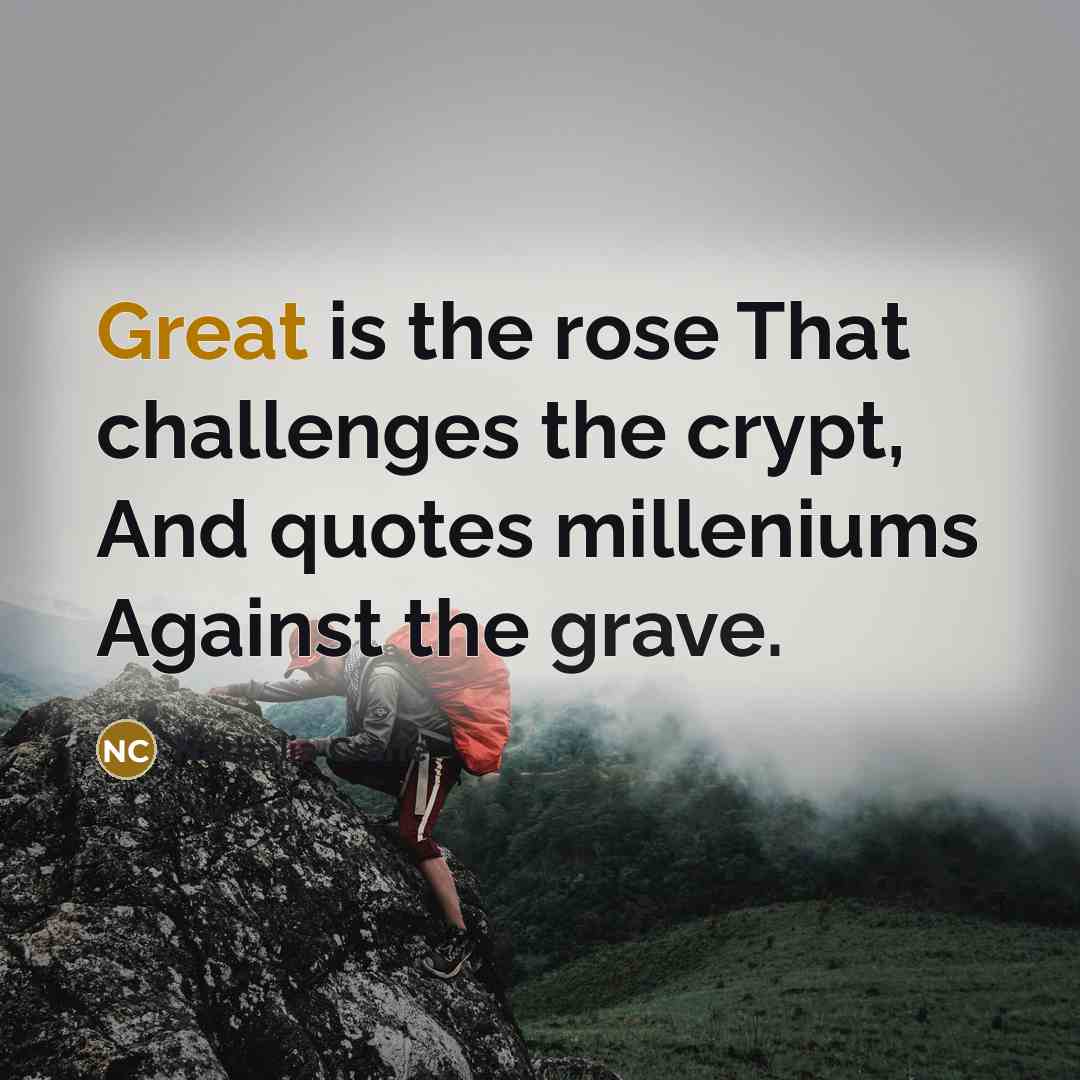 “Great is the rose That challenges the crypt, And quotes milleniums Against the grave.” quote by Nathalia Crane
