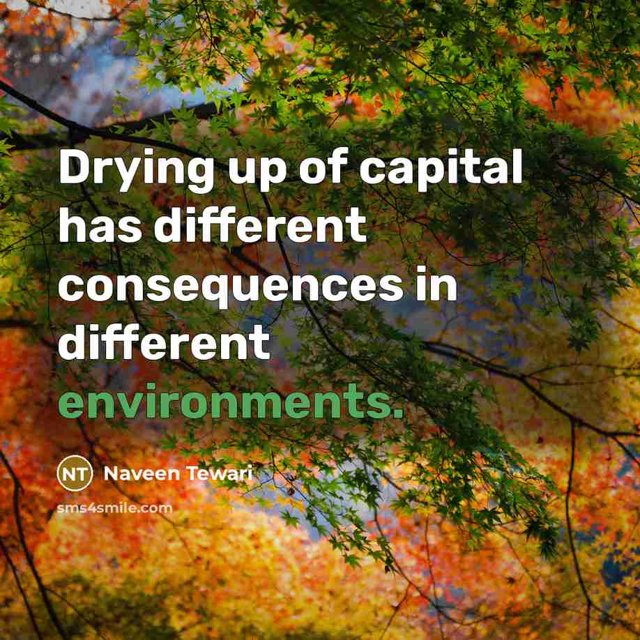 “Drying up of capital has different consequences in different environments.” quote by Naveen Tewari