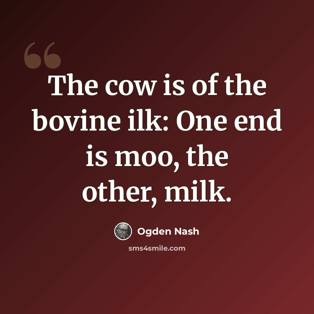 “The cow is of the bovine ilk: One end is moo, the other, milk.” quote by Ogden Nash