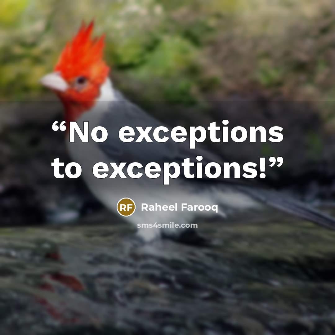 “No exceptions to exceptions!” quote by Raheel Farooq