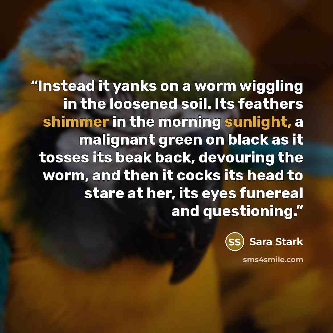 “Instead it yanks on a worm wiggling in the loosened soil. Its feathers shimmer in the morning sunlight, a malignant green on black as it tosses its beak back, devouring the worm, and then it cocks its head to stare at her, its eyes funereal and questioning.” quote by Sara Stark