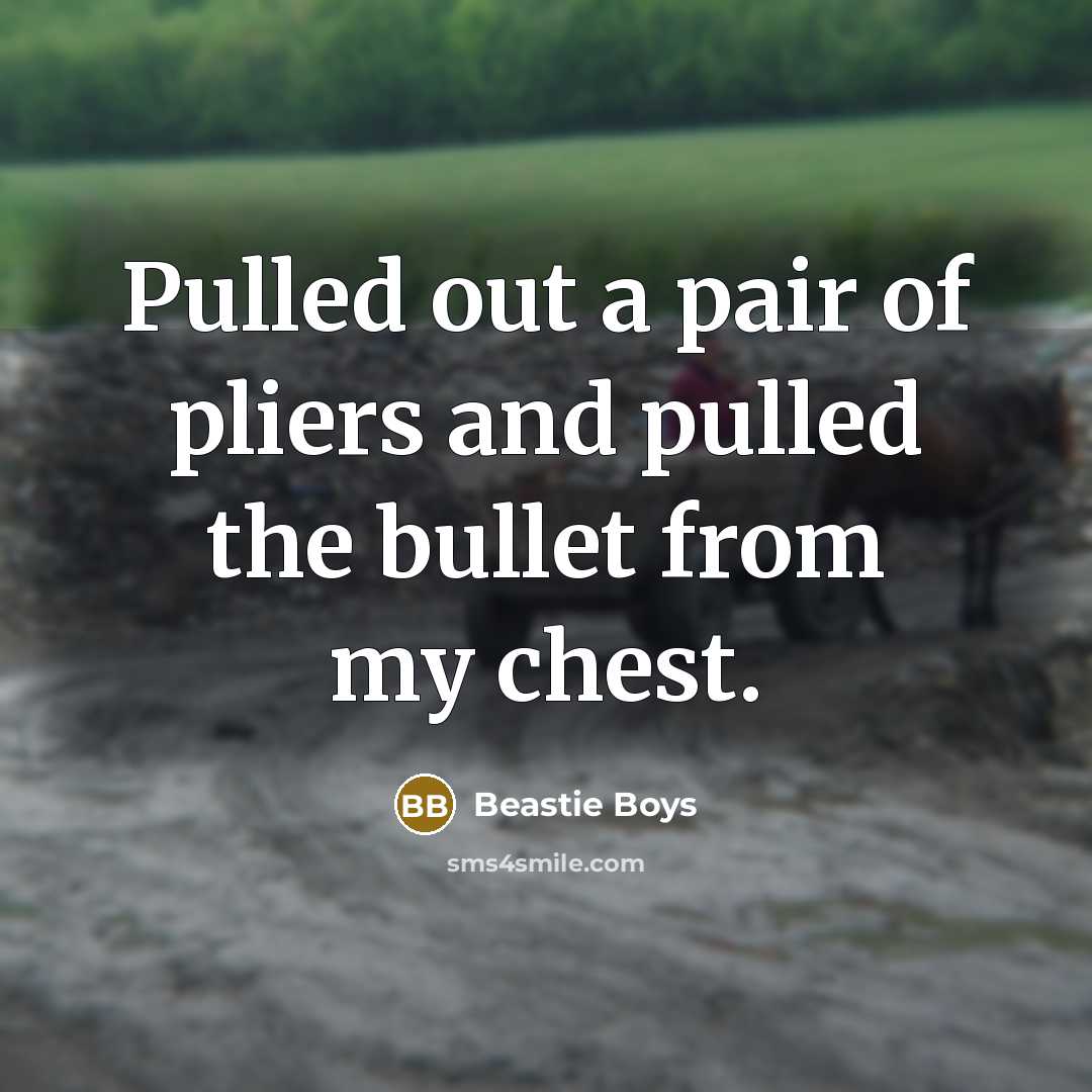 “Pulled out a pair of pliers and pulled the bullet from my chest.” quote by Beastie Boys