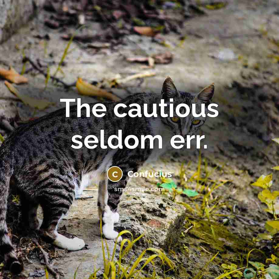 “The cautious seldom err.” quote by Confucius