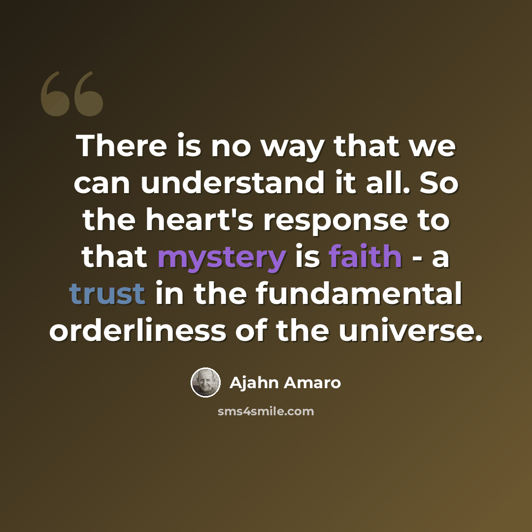 “There is no way that we can understand it all. So the heart's response to that mystery is faith - a trust in the fundamental orderliness of the universe.” quote by Ajahn Amaro
