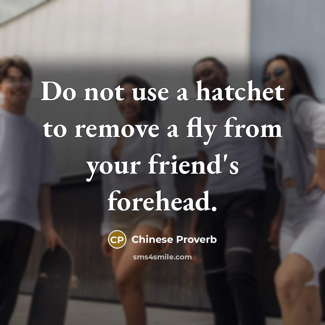 “Do not use a hatchet to remove a fly from your friend's forehead.” quote by Chinese Proverb