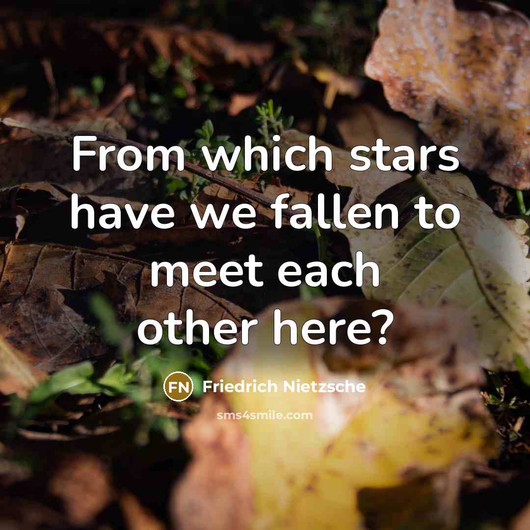 “From which stars have we fallen to meet each other here?” quote by Friedrich Nietzsche