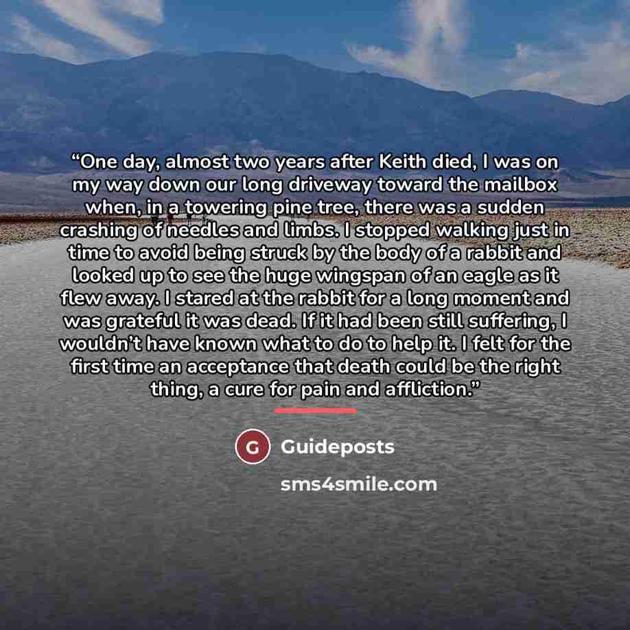 “One day, almost two years after Keith died, I was on my way down our long driveway toward the mailbox when, in a towering pine tree, there was a sudden crashing of needles and limbs. I stopped walking just in time to avoid being struck by the body of a rabbit and looked up to see the huge wingspan…” quote by Guideposts