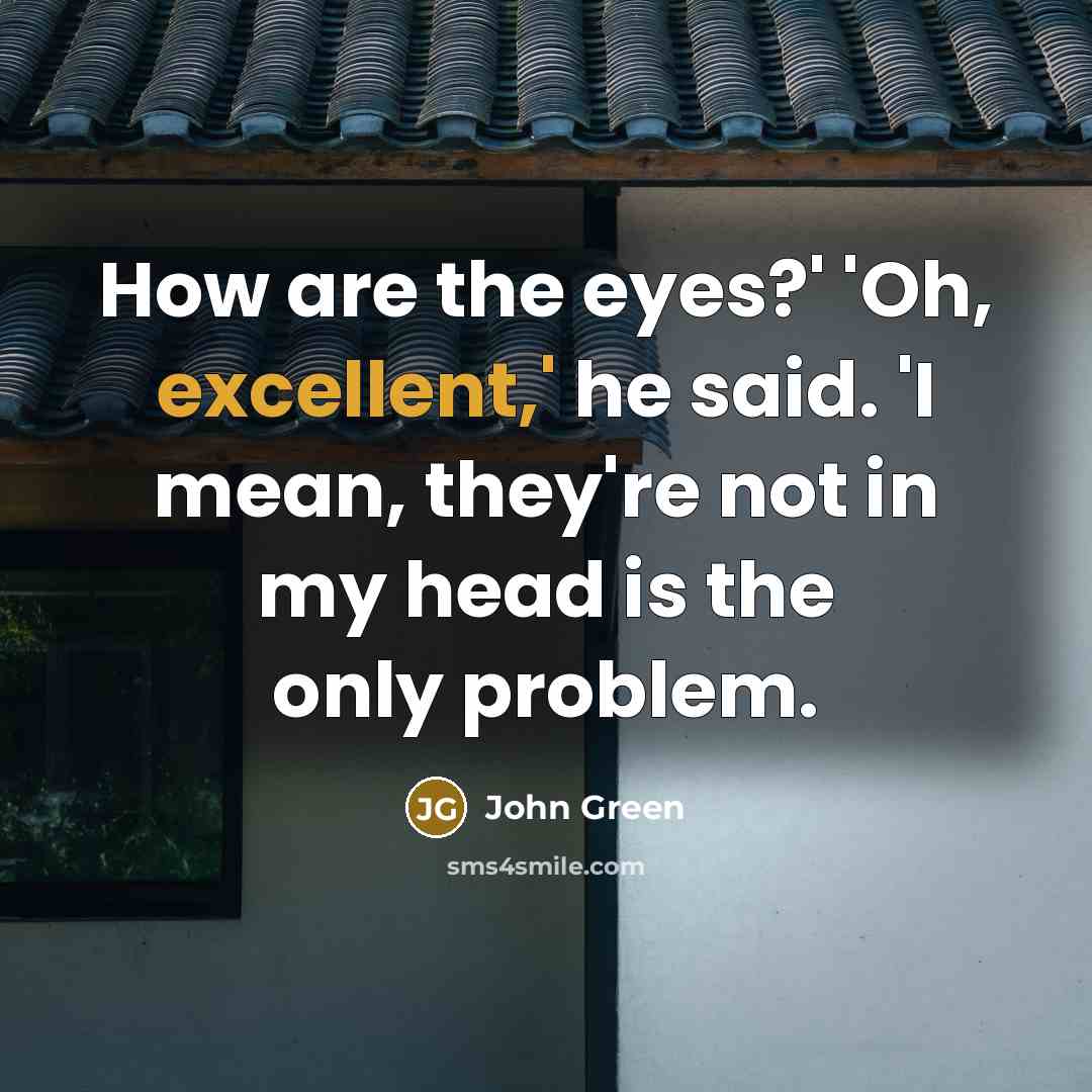 “How are the eyes?' 'Oh, excellent,' he said. 'I mean, they're not in my head is the only problem.” quote by John Green