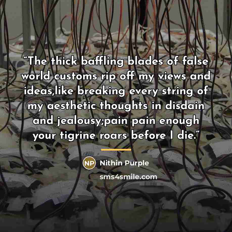 “The thick baffling blades of false world customs rip off my views and ideas,like breaking every string of my aesthetic thoughts in disdain and jealousy;pain pain enough your tigrine roars before I die.” quote by Nithin Purple
