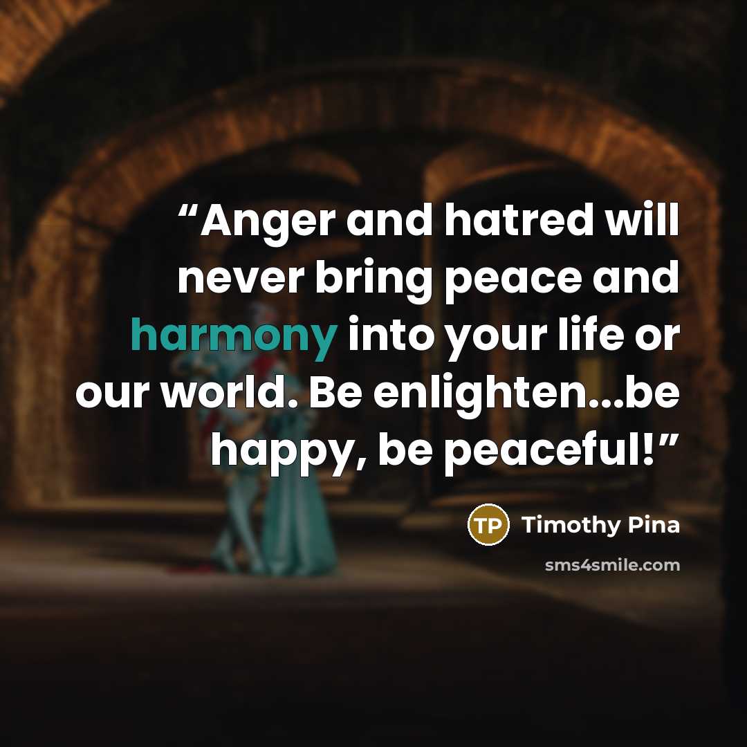 “Anger and hatred will never bring peace and harmony into your life or our world. Be enlighten...be happy, be peaceful!” quote by Timothy Pina
