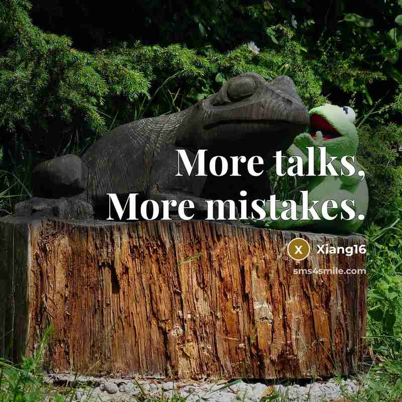 “More talks, More mistakes.” quote by Xiang16