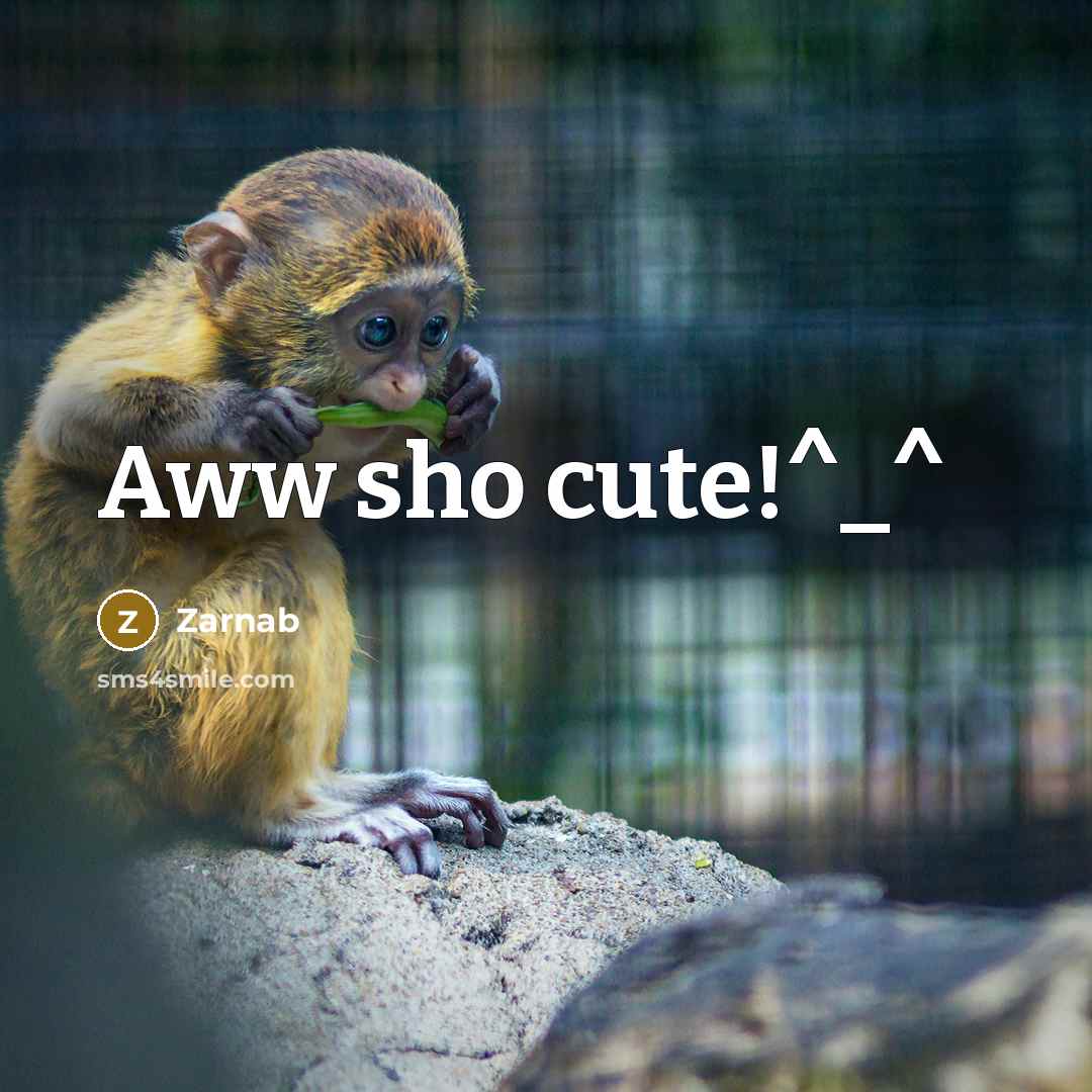 “Aww sho cute!^_^” quote by Zarnab