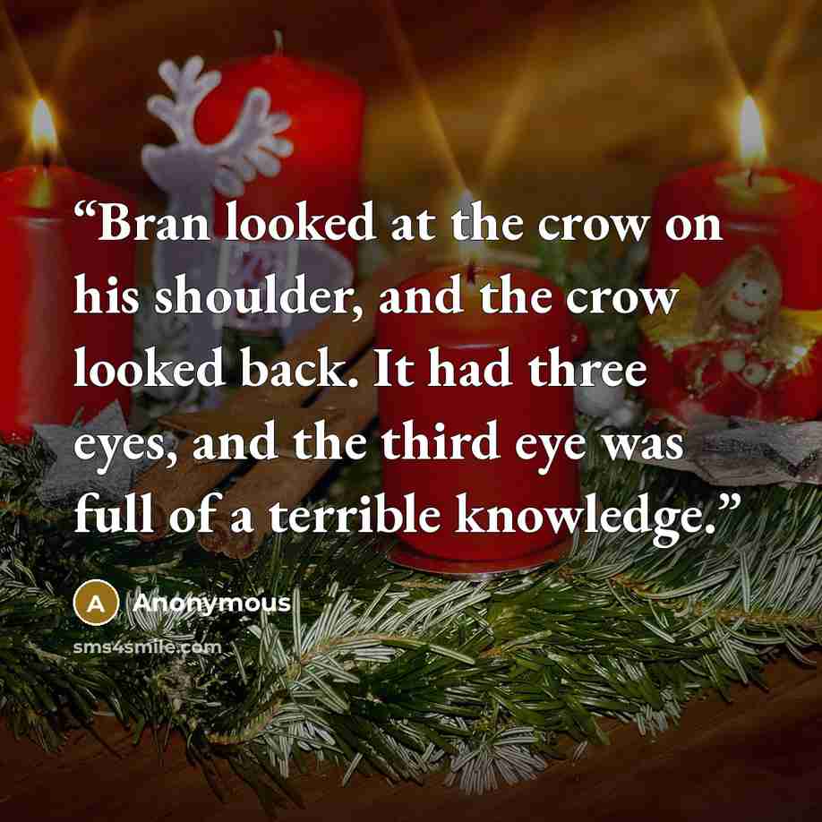 “Bran looked at the crow on his shoulder, and the crow looked back. It had three eyes, and the third eye was full of a terrible knowledge.” quote by Anonymous