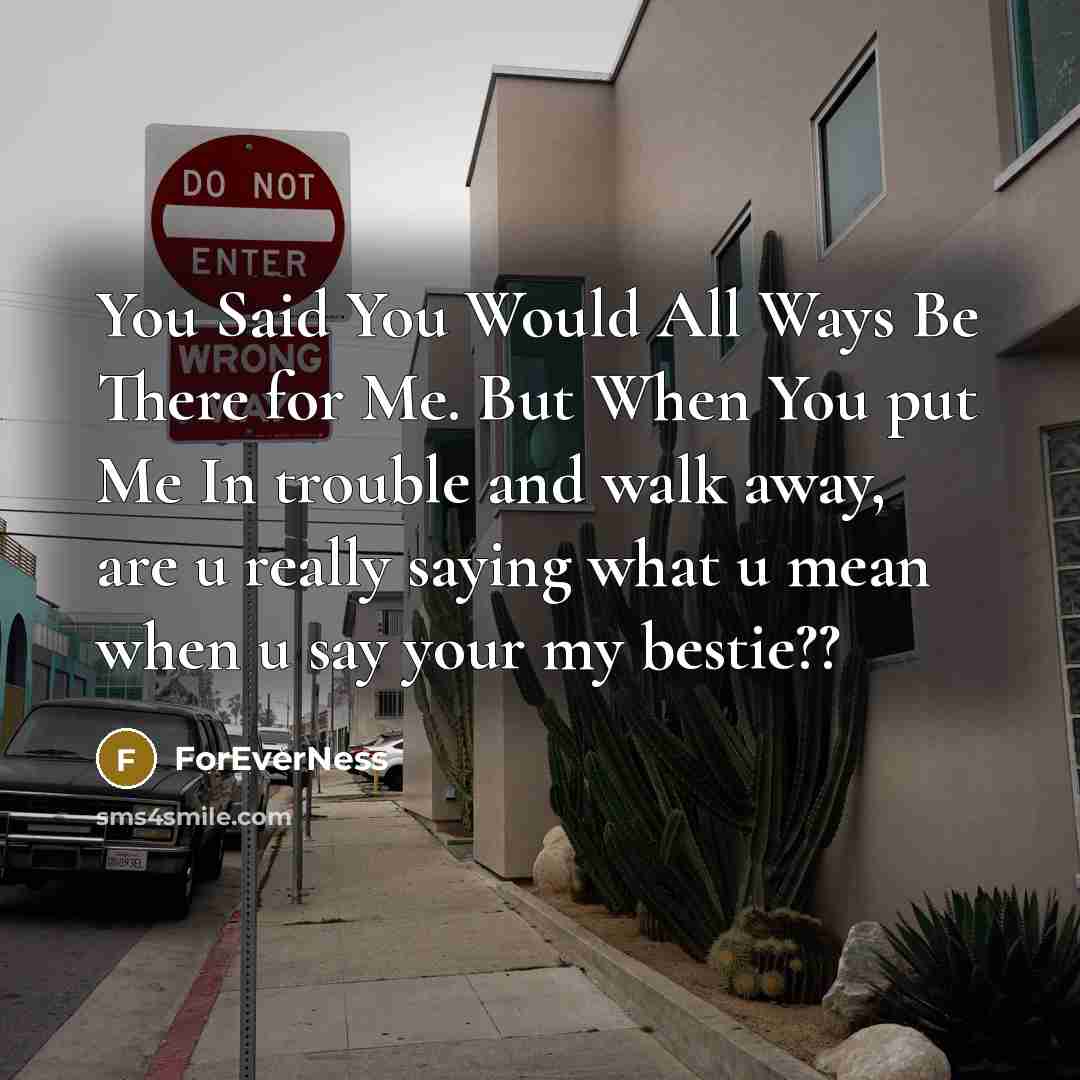 “You Said You Would All Ways Be There for Me. But When You put Me In trouble and walk away, are u really saying what u mean when u say your my bestie??” quote by ForEverNess