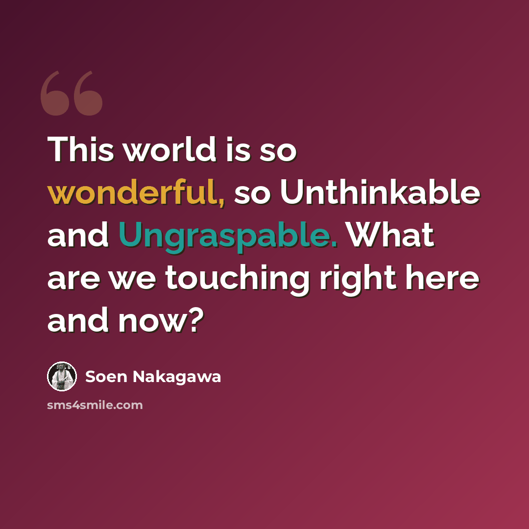“This world is so wonderful, so Unthinkable and Ungraspable. What are we touching right here and now?” quote by Soen Nakagawa