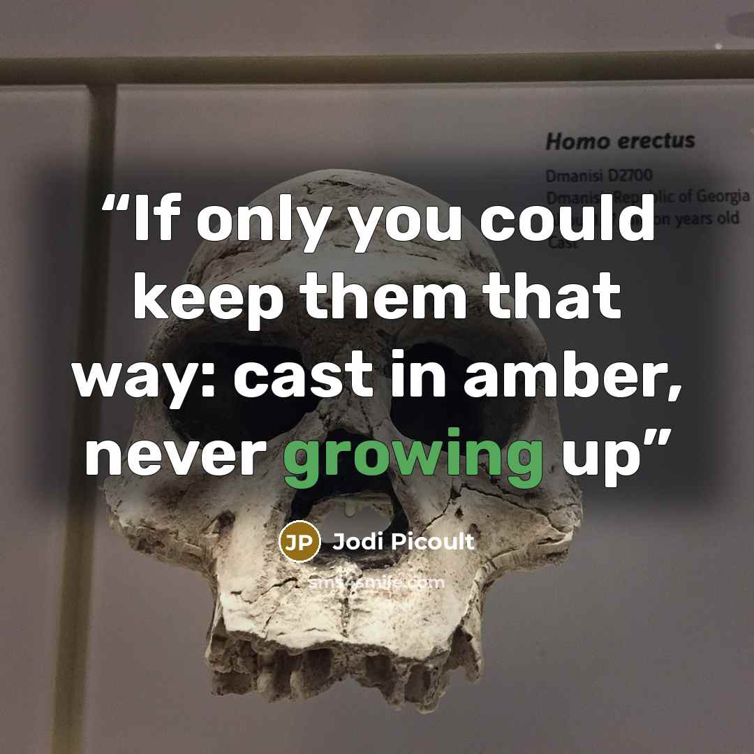 “If only you could keep them that way: cast in amber, never growing up” quote by Jodi Picoult
