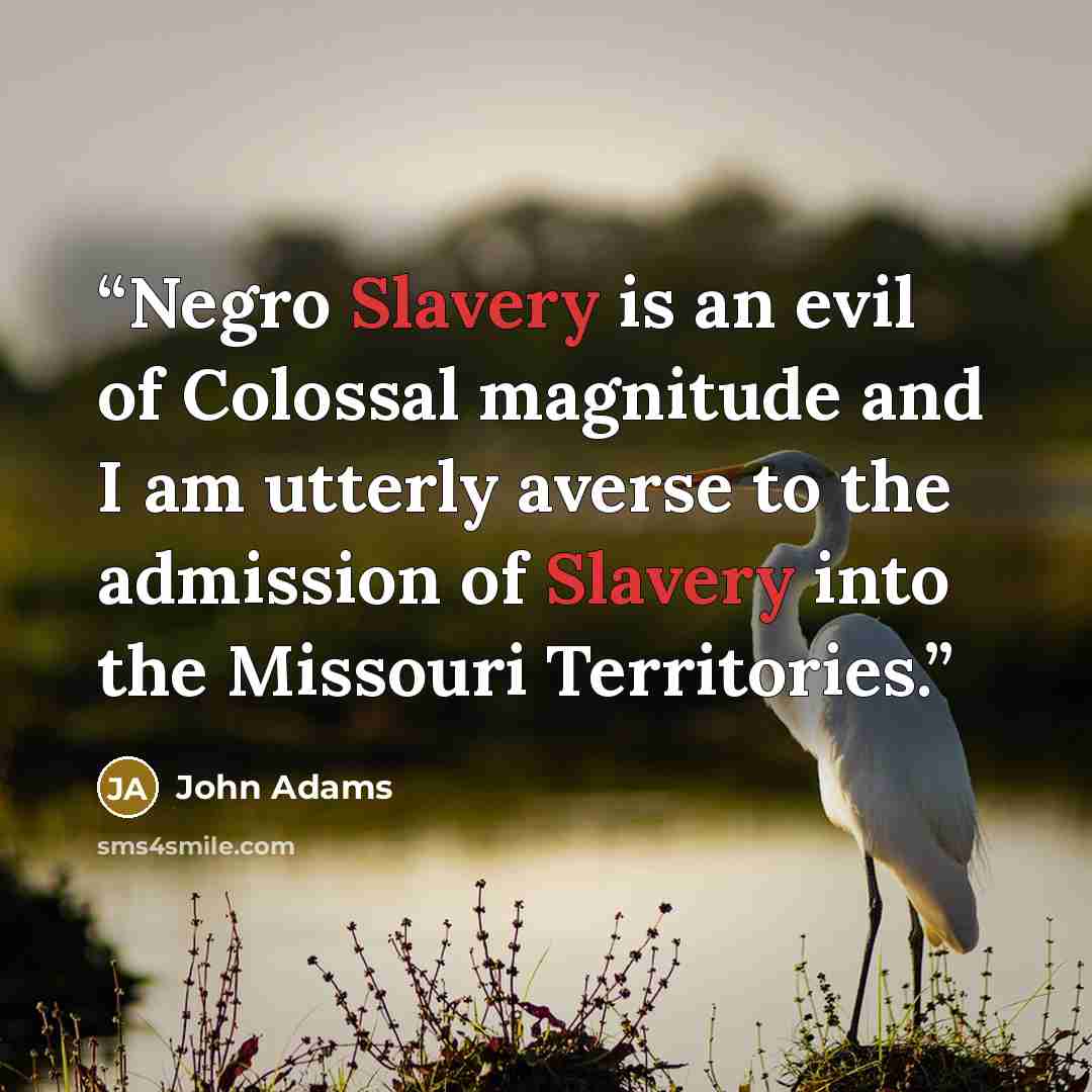 “Negro Slavery is an evil of Colossal magnitude and I am utterly averse to the admission of Slavery into the Missouri Territories.” quote by John Adams