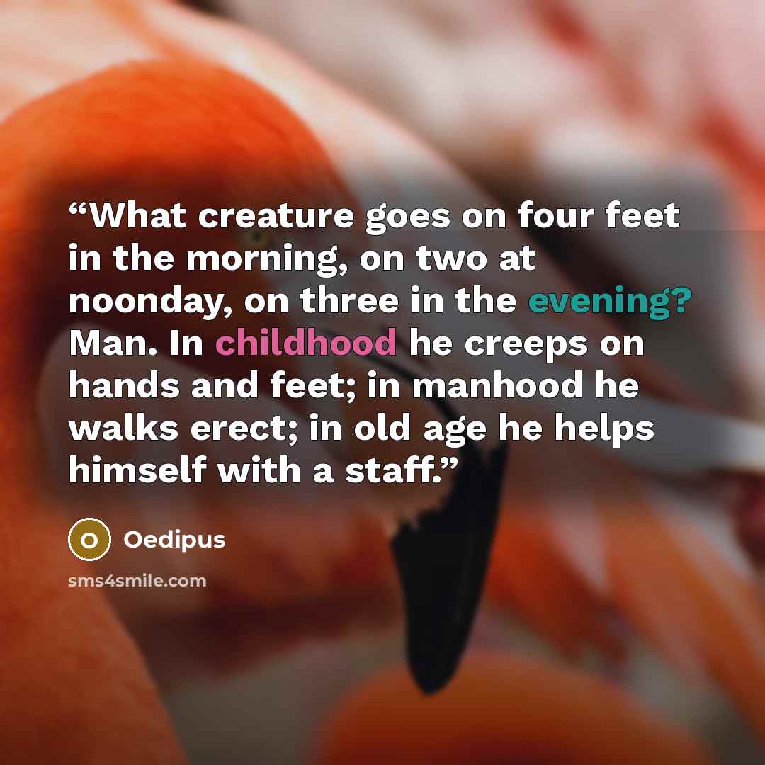 “What creature goes on four feet in the morning, on two at noonday, on three in the evening? Man. In childhood he creeps on hands and feet; in manhood he walks erect; in old age he helps himself with a staff.” quote by Oedipus