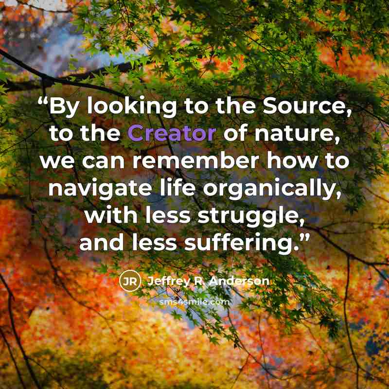 “By looking to the Source, to the Creator of nature, we can remember how to navigate life organically, with less struggle, and less suffering.” quote by Jeffrey R. Anderson