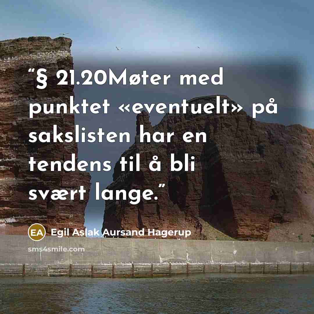 “§ 21.20Møter med punktet «eventuelt» på sakslisten har en tendens til å bli svært lange.” quote by Egil Aslak Aursand Hagerup