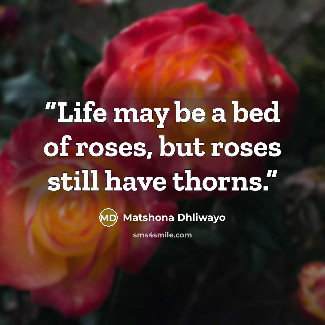 “Life may be a bed of roses, but roses still have thorns.” quote by Matshona Dhliwayo