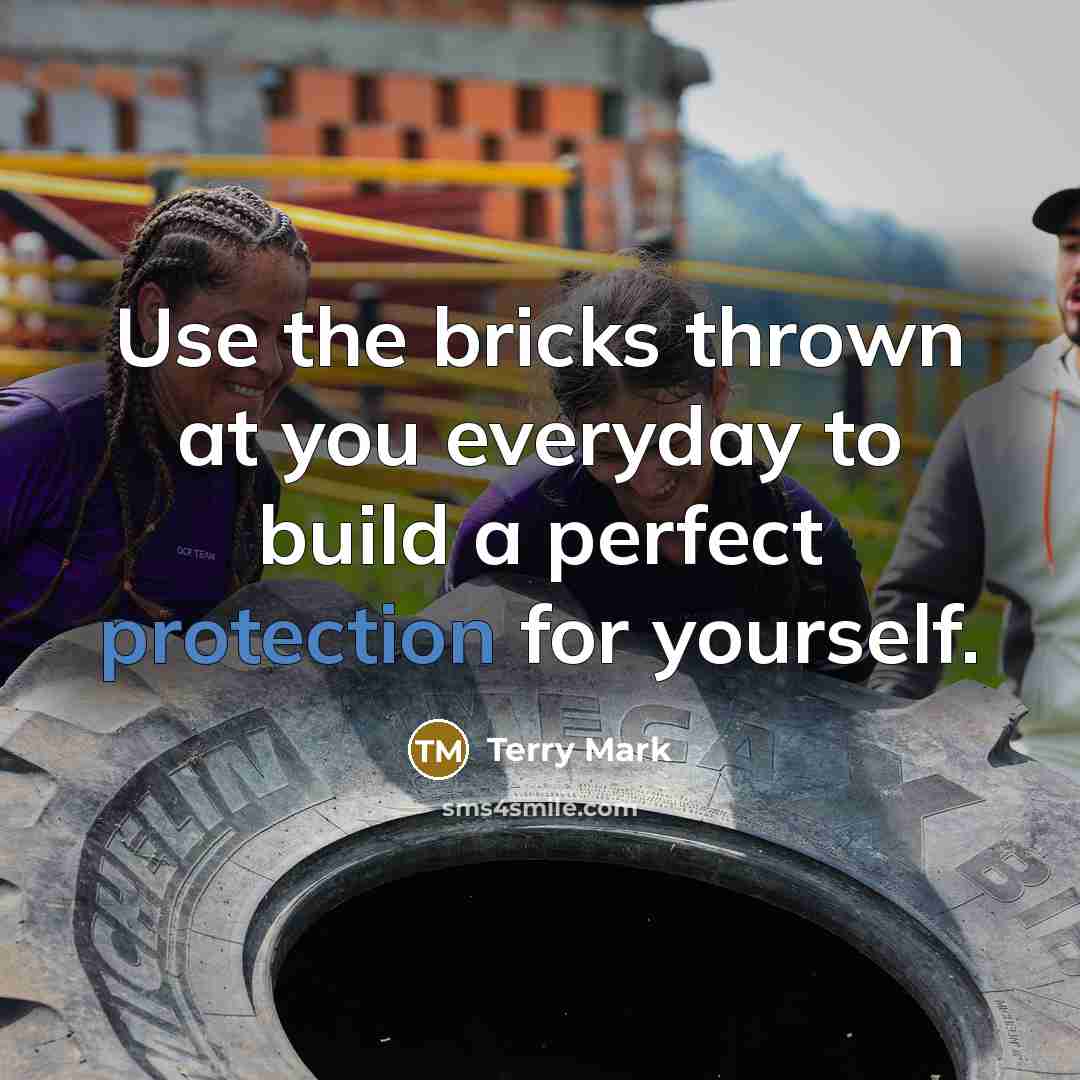 “Use the bricks thrown at you everyday to build a perfect protection for yourself.” quote by Terry Mark