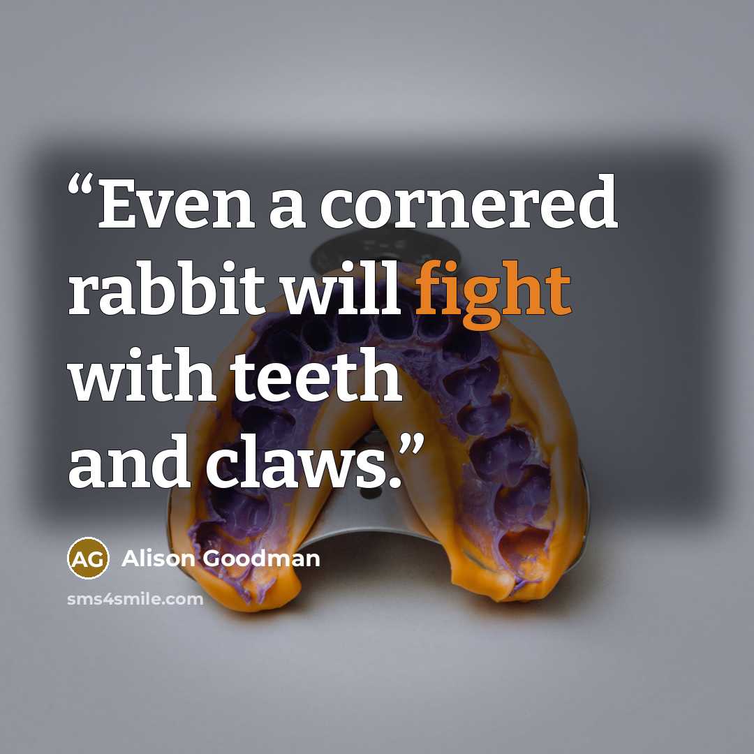 “Even a cornered rabbit will fight with teeth and claws.” quote by Alison Goodman