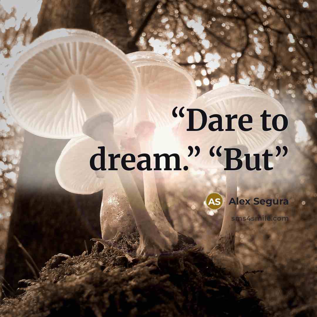 “Dare to dream.” “But” quote by Alex Segura